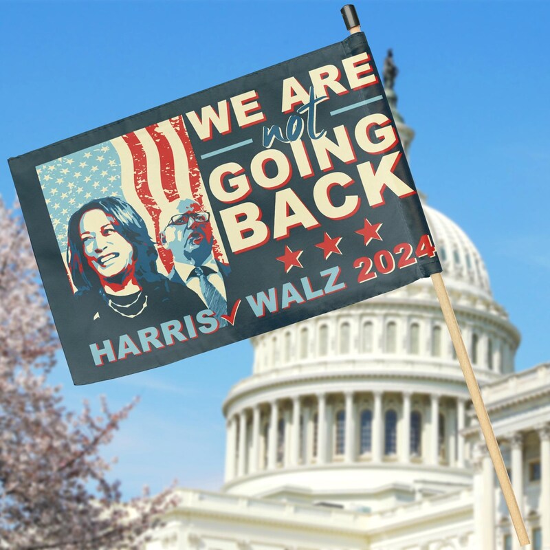 We Are Not Going Back, Two Sides Hand Flag, Gift For Kamala Harris Supporters, Election 2024