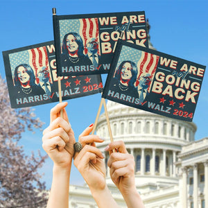 We Are Not Going Back, Two Sides Hand Flag, Gift For Kamala Harris Supporters, Election 2024