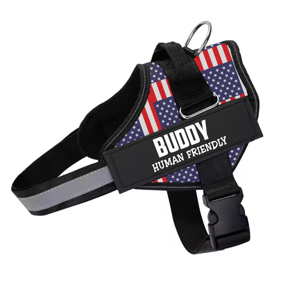 Personalized Reflective Dog Harness, Custom Name And Phone Number