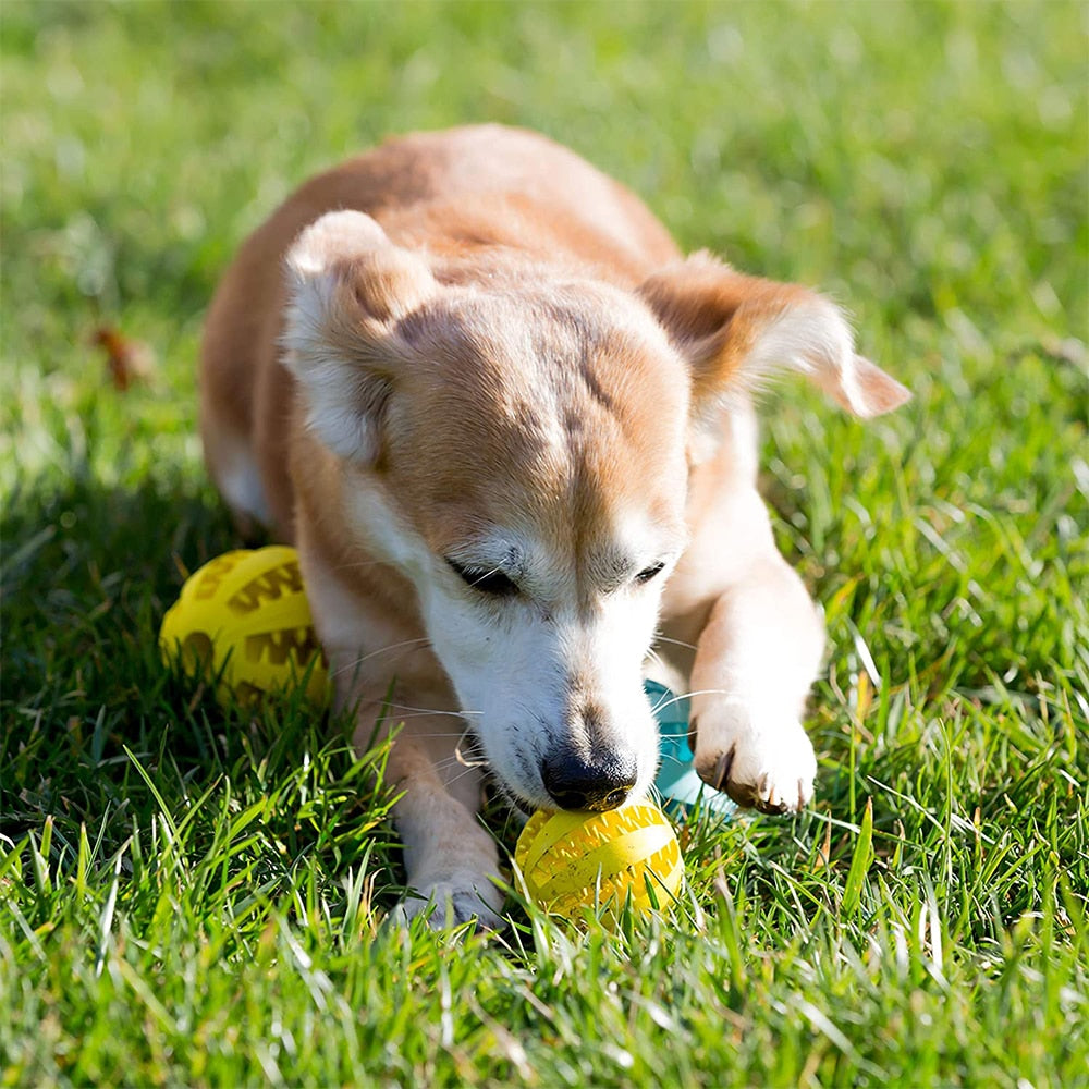 Dogs Rubber, Dog Ball For Puppy, Dogs Tooth Cleaning Snack Ball, Pet Accessories