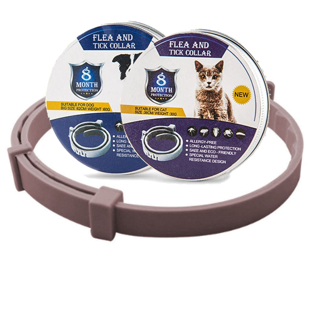 Fashion flea and tick collar for cats