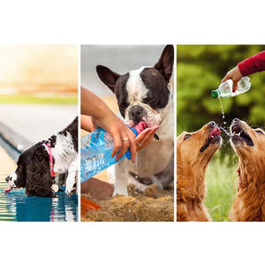 Dog Travel Water & Feeder Bottle, Outdoors Travel Portable With Bowl Multifunction