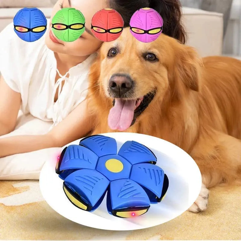 Interactive UFO Saucer Dog Toy, Pet Accessories