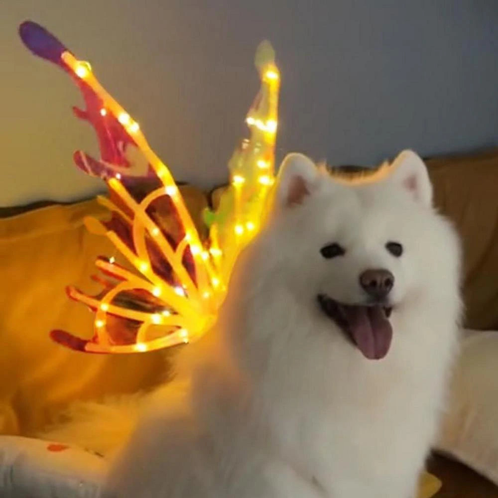 Elf Wings Fairy Wings Costume Accessory, Magical Costume Wings For Dog