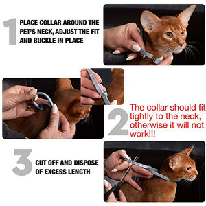 Flea Tick Prevention Collar For Cat
