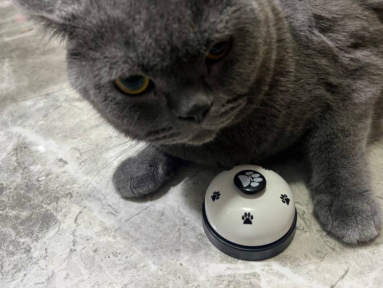 Pet Toys Bell for Dogs Cat Training Interactive Toy, Pet Accessories