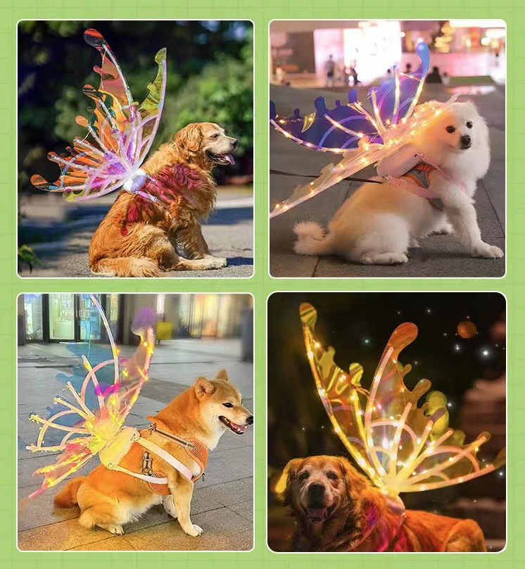 dog dressed as fairy Doggy Fairy Wings main image 0