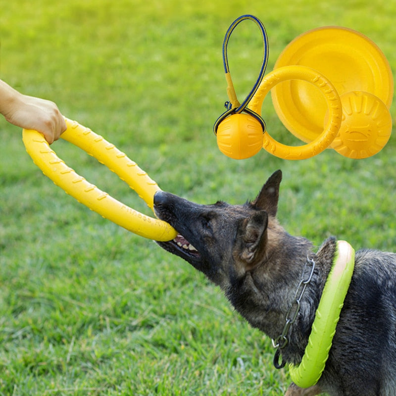 Pet Flying Discs Training Ring Puller Dog Toys For Big Dogs, Pet Accessories
