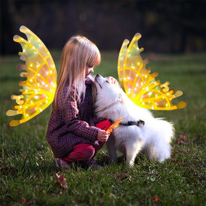 Elf Wings Fairy Wings Costume Accessory, Magical Costume Wings For Dog, Halloween Dog Costume