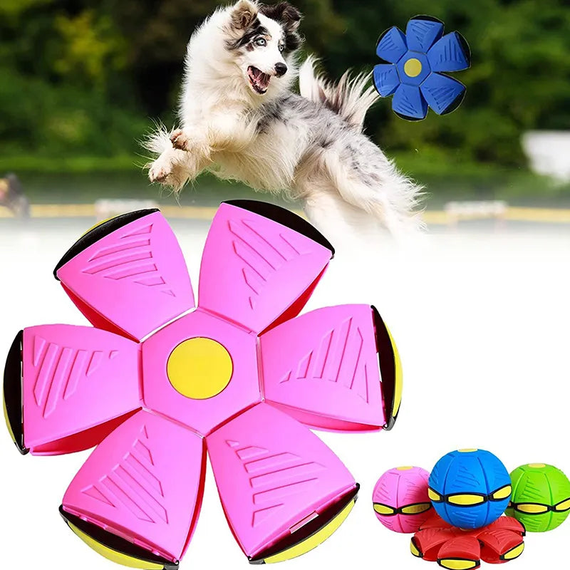 Interactive UFO Saucer Dog Toy