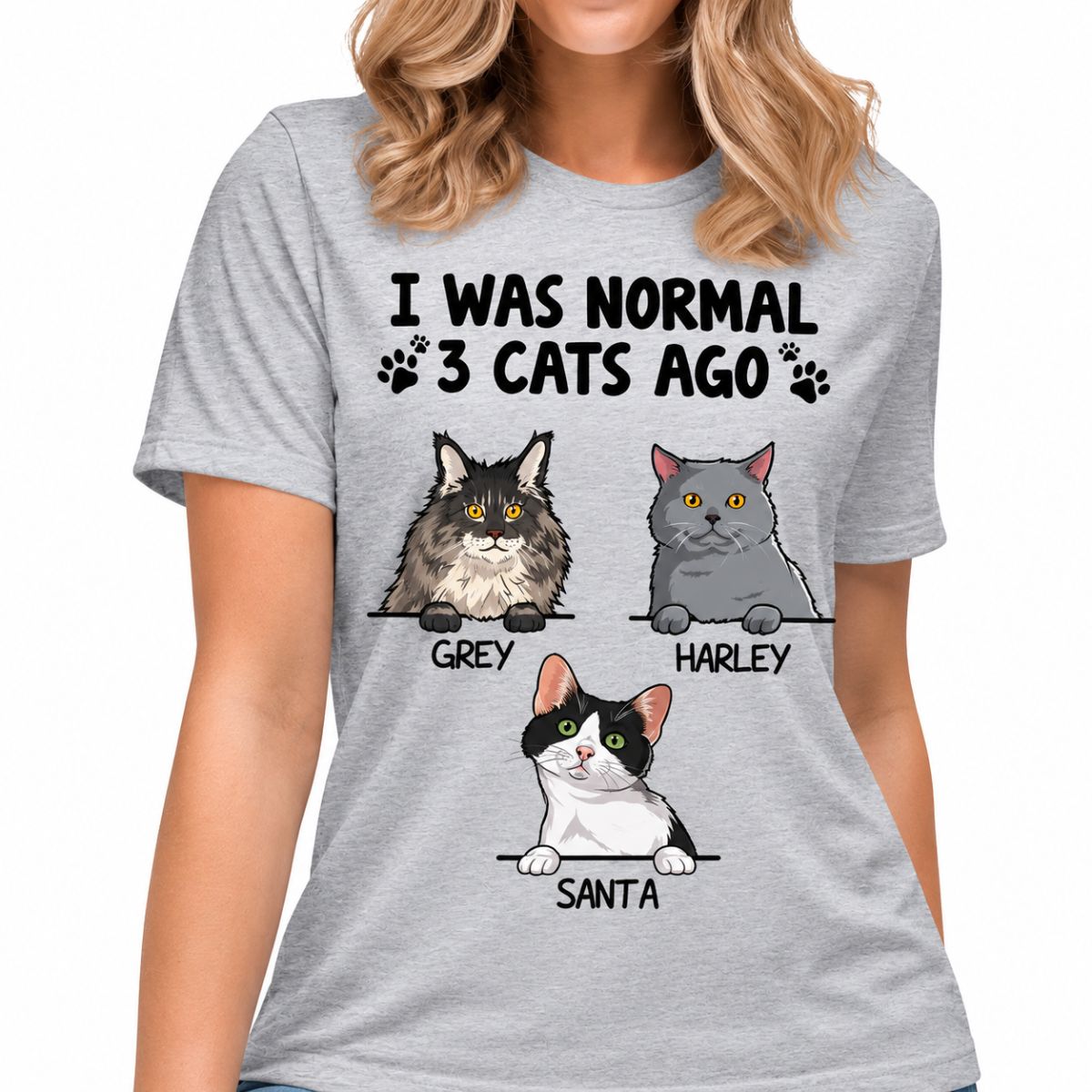 I Was Normal 3 Cats Ago, Custom Shirt, Personalized Gifts for Cat Lovers