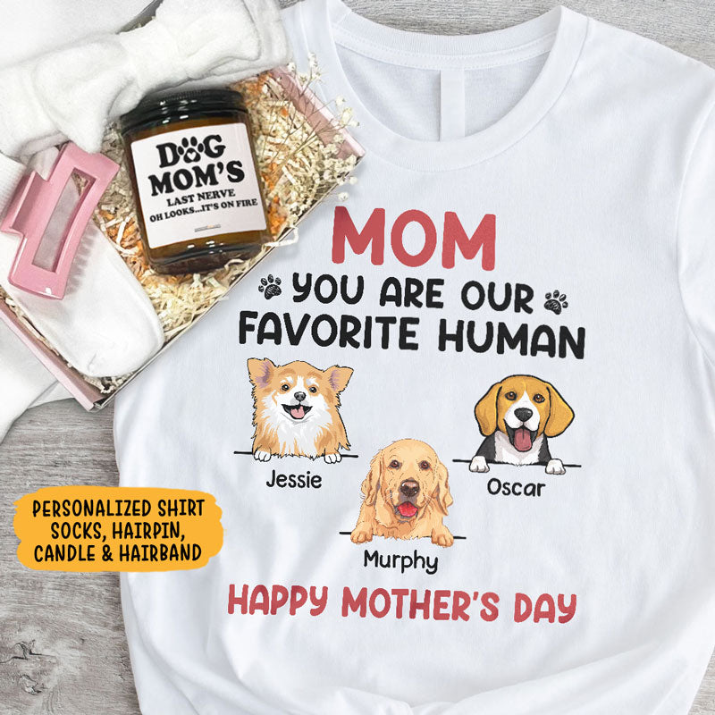 Gift Box You Are My Favorite Human, Personalized Shirt And Scented Candle, Gift For Dog Lovers, Mother's Day Gift