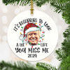 Beginning To Look A Lot Like You Miss Me , Personalized Ornaments, Trump Ornaments, Election 2024