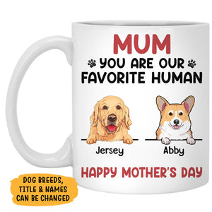 You Are My Favorite Human, Personalized Accent Mug, Gifts For Dog Lovers