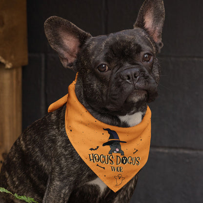Hocus Dogus Halloween, Personalized Bandana, Halloween Costumes for Dogs