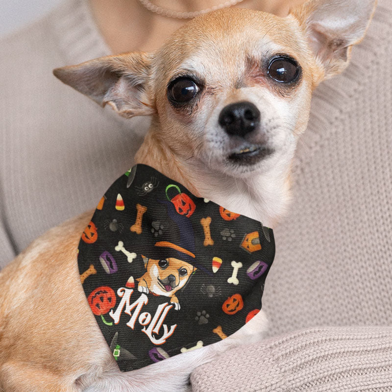 Halloween Dog Bandana, Personalized Bandana, Halloween Costumes for Dogs
