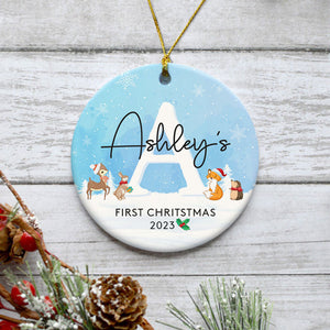 Baby's First Christmas, Personalized Christmas Ornaments, Custom Holiday Decoration