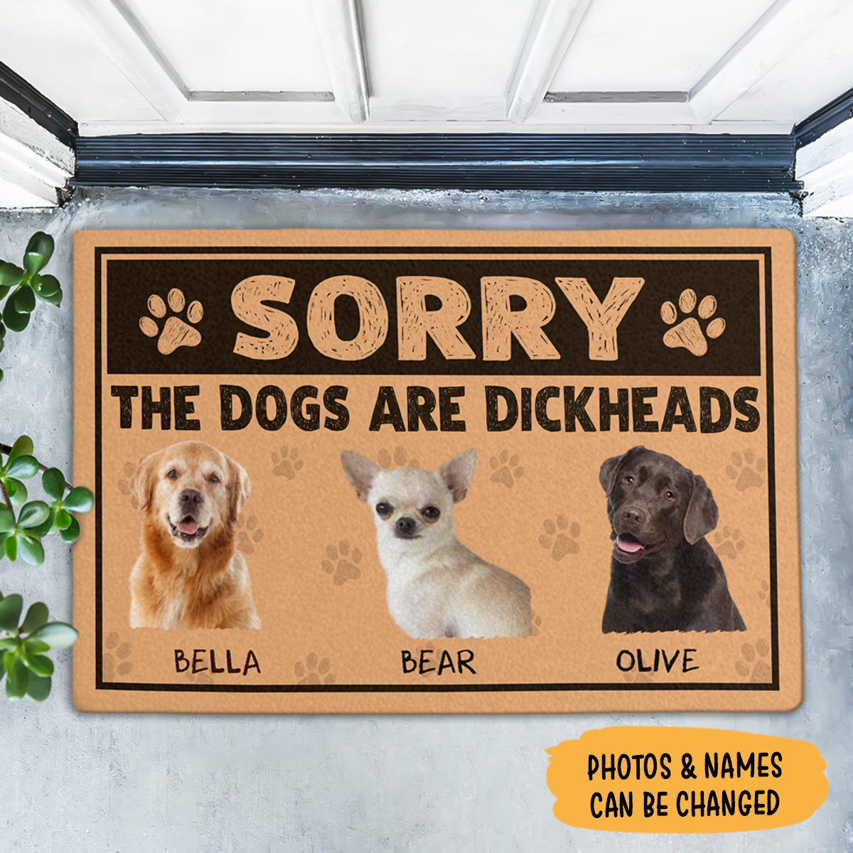 The Dog Is A Dickhead, Personalized Rubber Doormat, Funny Doormat