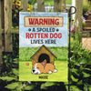 Spoiled Rotten Dogs Live Here, Personalized Flag, Custom Gift For Dog Lovers
