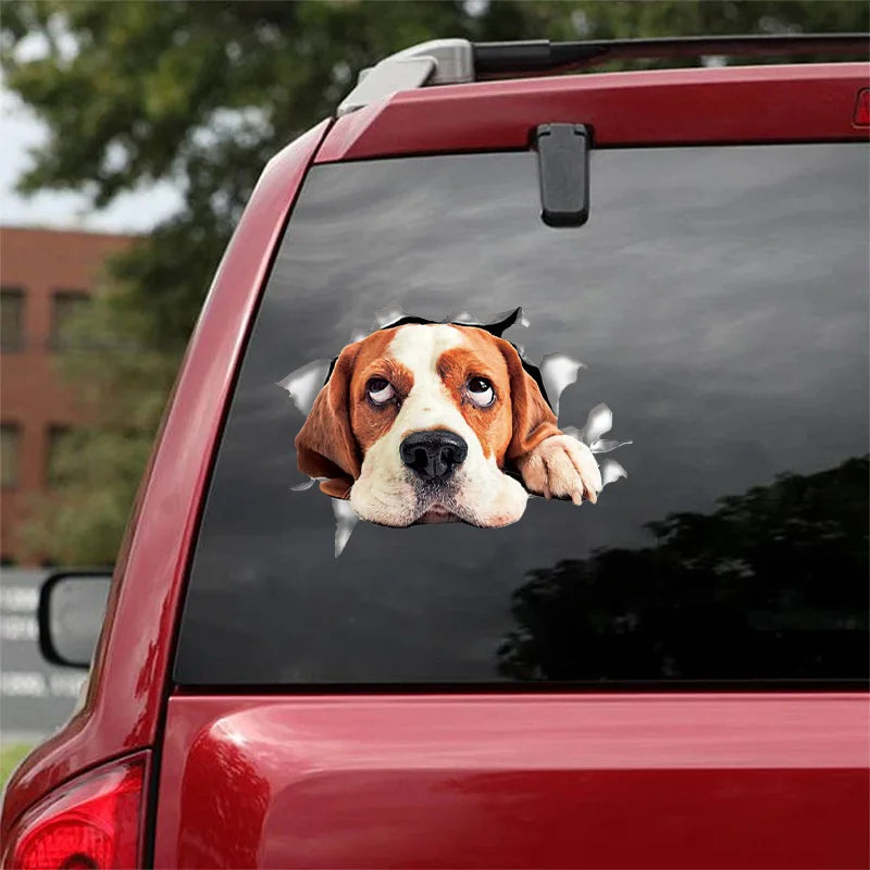 3D Dog Car Sticker Waterproof Cat Car Sticker Toilet Sticker Wall Stickers Removable Art Decals Sticker Home Decor Dropshipping