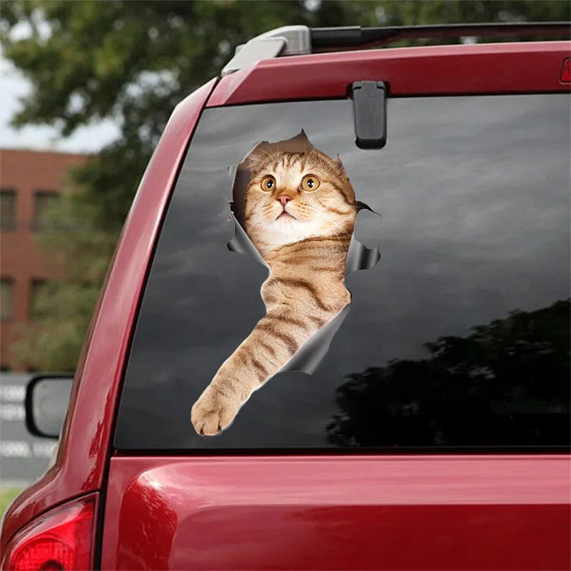 3D Dog Car Sticker Waterproof Cat Car Sticker Toilet Sticker Wall Stickers Removable Art Decals Sticker Home Decor Dropshipping