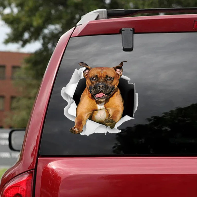 3D Dog Car Sticker Waterproof Cat Car Sticker Toilet Sticker Wall Stickers Removable Art Decals Sticker Home Decor Dropshipping