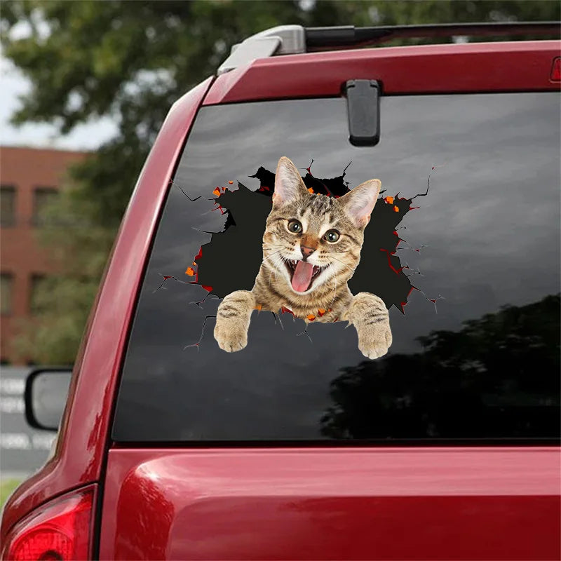 3D Dog Car Sticker Waterproof Cat Car Sticker Toilet Sticker Wall Stickers Removable Art Decals Sticker Home Decor Dropshipping