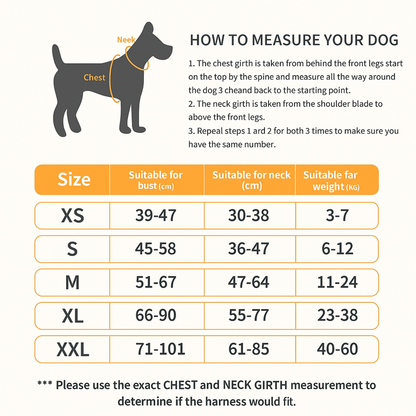 Personalized Reflective Dog Harness, Custom Name And Phone Number, For Your Dogs, For Your Cats, For Pet