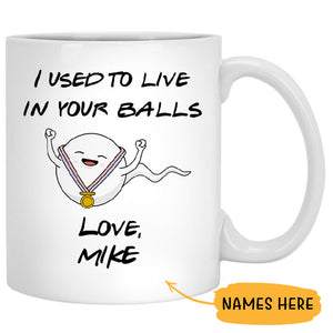 Happy Father's Day I Used To Live In Your Balls, Personalized Mug, Funny Father's Day gifts