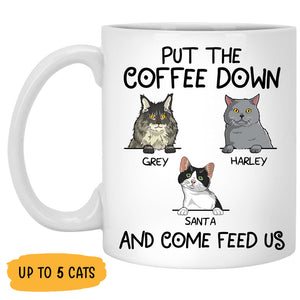 Put The Coffee Down and Come Feed Us, Custom Coffee Mug, Personalized Gifts for Cat Lovers