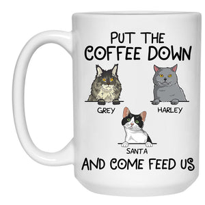 Put The Coffee Down and Come Feed Us, Custom Coffee Mug, Personalized Gifts for Cat Lovers