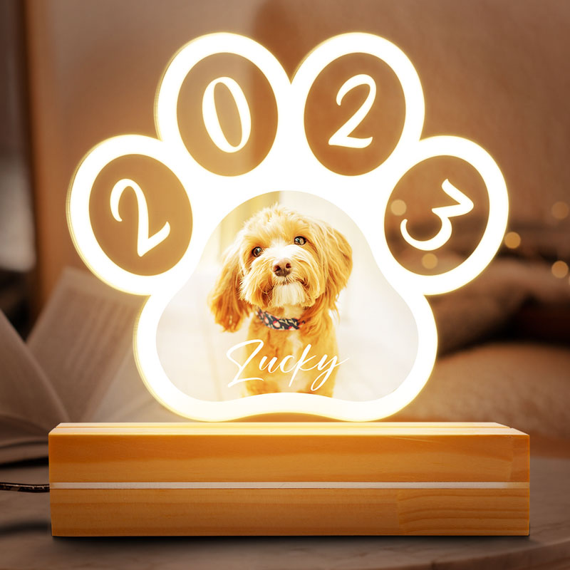 Pet Paw Print, Personalized Shape Acrylic Plaque, LED Light, Custom Gift For Pet Lovers, Custom Photo
