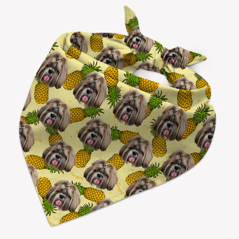 Multi Pattern Bandana, Personalized Bandana, Custom Gifts For Dog
