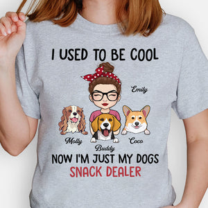 I Used To Be Cool, Personalized Shirt, Custom Gifts For Dog Mom