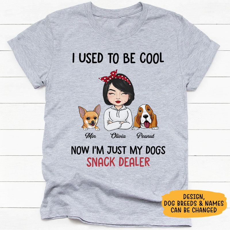 I Used To Be Cool, Personalized Shirt, Custom Gifts For Dog Mom