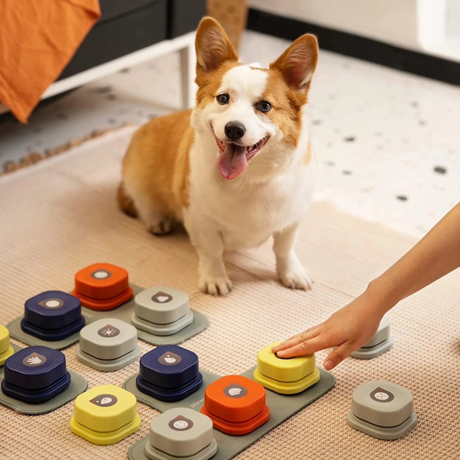 Dog Button Record Talking Pet Communication Vocal Training Interactive Toy Bell Ringer With Pad and Sticker, Pet Accessories