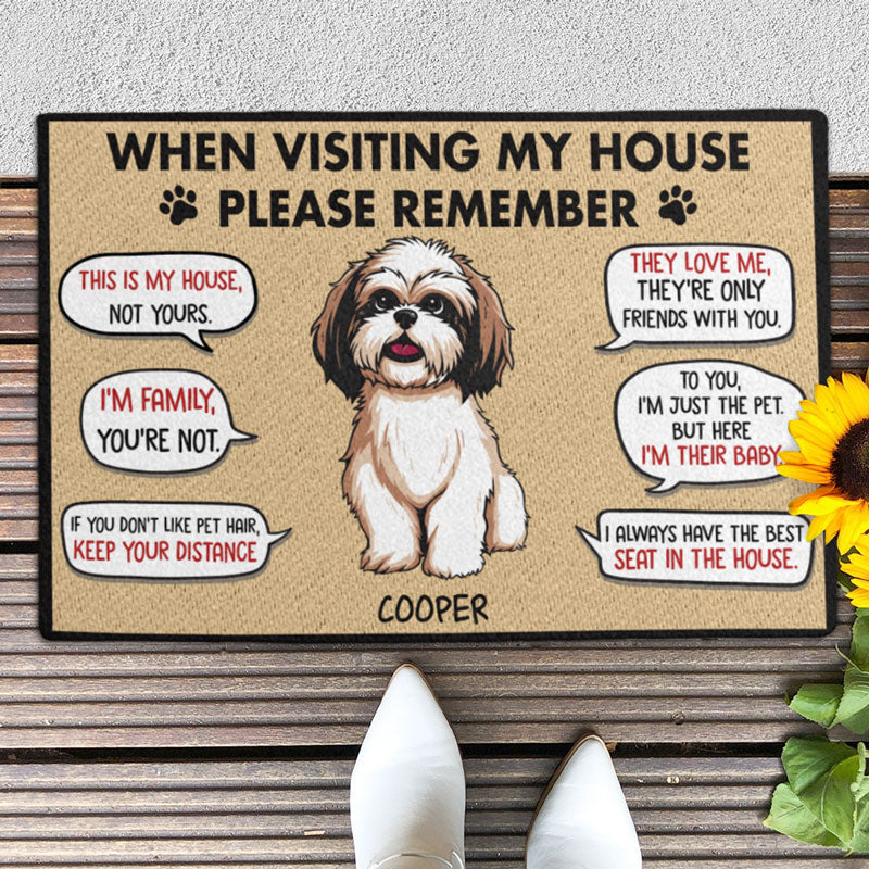 Don't Let The Pets Out - Funny Personalized Decorative Mat