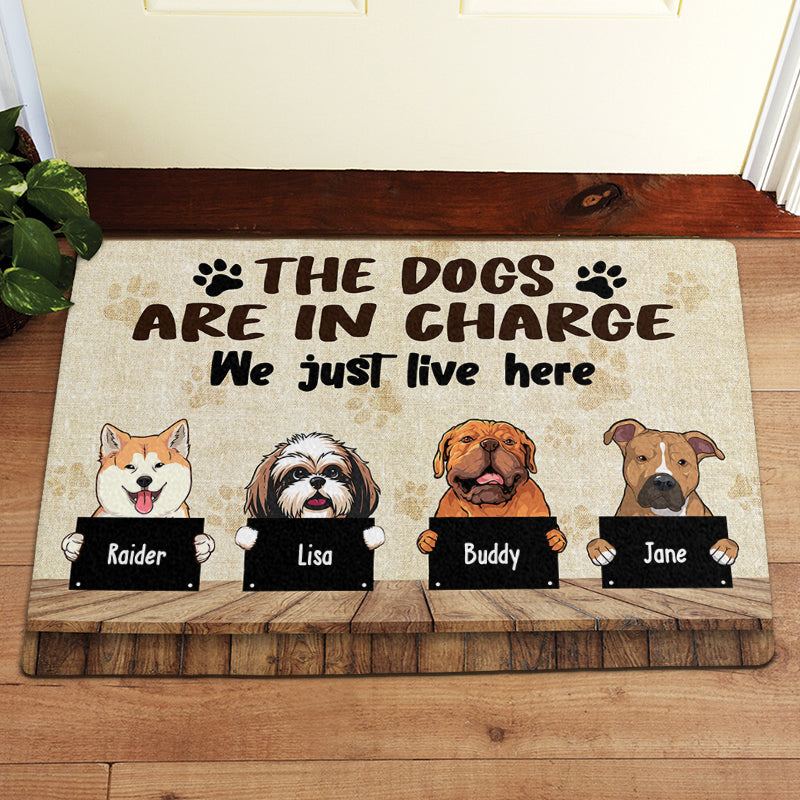 The Dog Are In Charge, Custom Doormat, Personalized Doormat, Gift For Dog Lovers