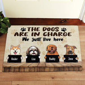 Personalized doormats for pet lovers to welcome guests in the best way -  PersonalFury