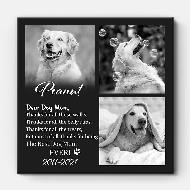 Mothers Day Gift For Dog Mom Personalized Pet Photo Canvas Print You feed  me when I'm hungry - Oh Canvas