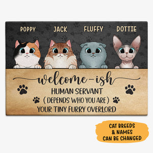 Welcome-ish Human Servant, Gift For Cat Lovers, Personalized Doormat, New Home Gift