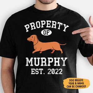 Property Of Dachshund, Personalized Shirt, Custom Gifts For Dog Lovers