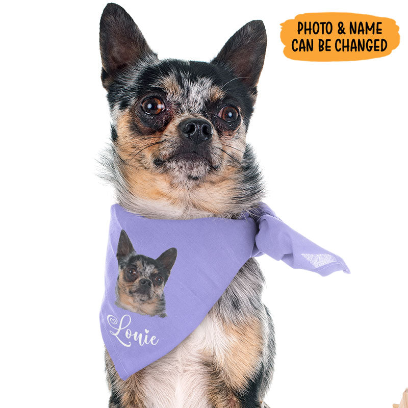  Personalized Dog Bandana, Taos Power Blue Aztec, Stitched  Leather Name Tag, Personalized Name, Bandanas for Dogs, Over The Collar Dog  Bandana (Sizes: XXSmall - XXLarge) : Pet Supplies