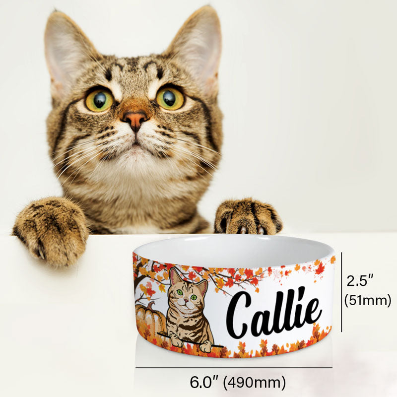 Personalized Cat Bowls, Custom Cute Cat Food and Water Bowl with Name, Ceramic Autumn Fall, PersonalFury