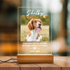 Leave Paw Prints On Our Hearts, Personalized Acrylic Plaque, LED Light, Memorial Gift For Pet Lovers, Custom Photo