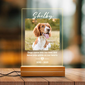 Leave Paw Prints On Our Hearts, Personalized Acrylic Plaque, LED Light, Memorial Gift For Pet Lovers, Custom Photo