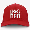 Dog Dad Hat, Embroidered Vintage Cotton Twill Cap, Gifts For Dog Dad