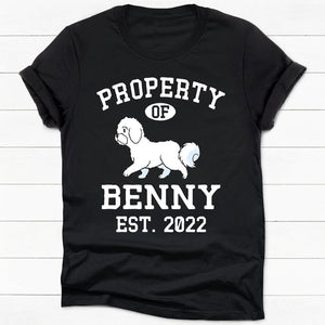 Property Of Bichon Frise Personalized Shirt, Custom Gifts For Dog Lovers
