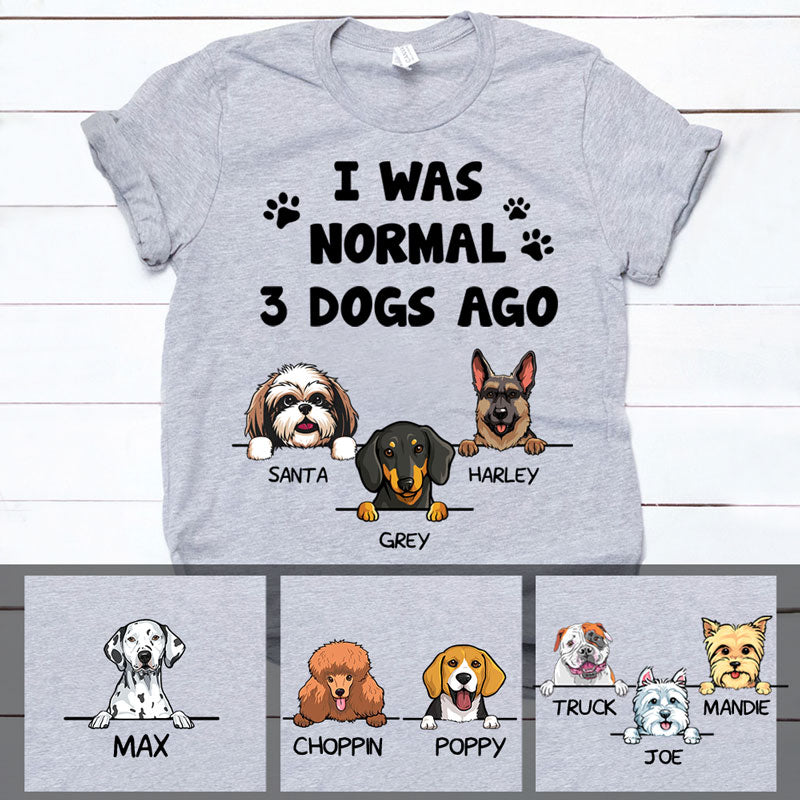 I Was Normal, Funny Custom T Shirt, Personalized Gifts for Dog Lovers