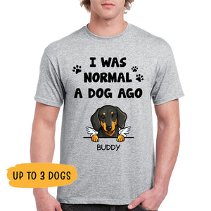 I Was Normal, Funny Custom T Shirt, Personalized Gifts for Dog Lovers